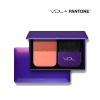 VDL-+-Pantone-Expert-Color-Cheek-Book-Mini.