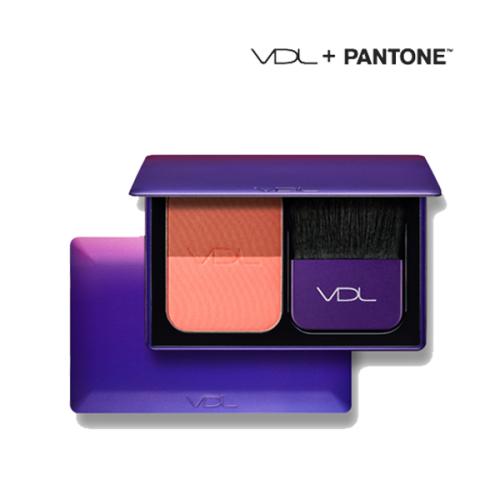 VDL-+-Pantone-Expert-Color-Cheek-Book-Mini.